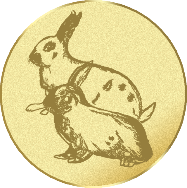 Emblem G17I in G/S/B 25mm und 50mm Lieferbar