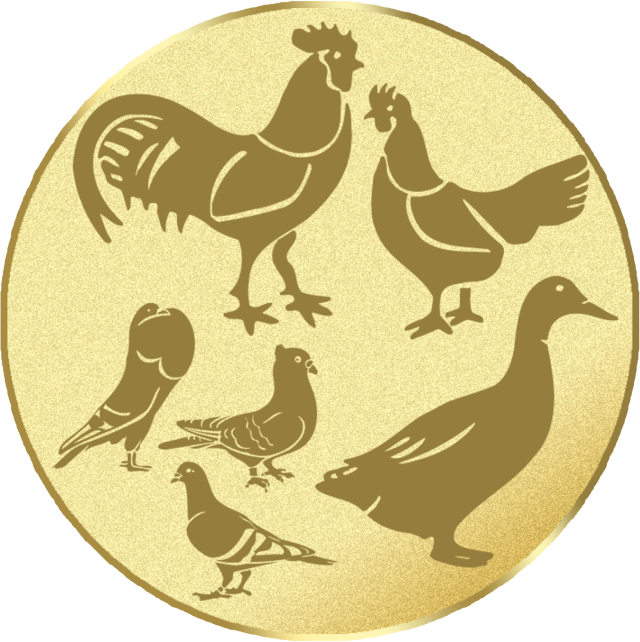 Emblem G31C in G/S/B 25mm und 50mm Lieferbar