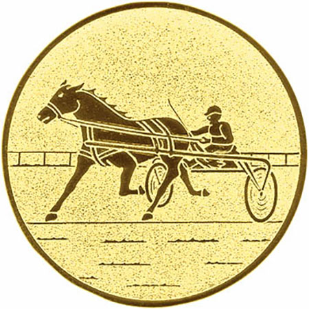 Emblem 60943  in G/S/B 25mm und 50mm Lieferbar