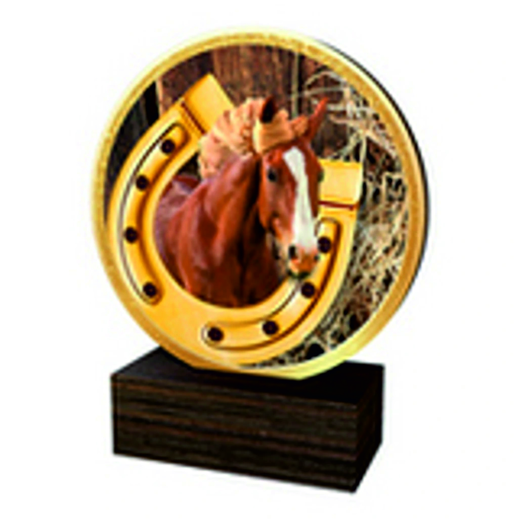 Reitsport Trophäe BW in 4 Farben G/S/B und Alt/Gold