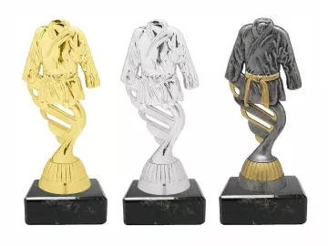 Kampfsport in Gold-Silber- Bronze