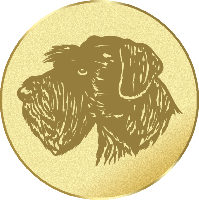 Emblem G17B in G/S/B 25mm und 50mm Lieferbar