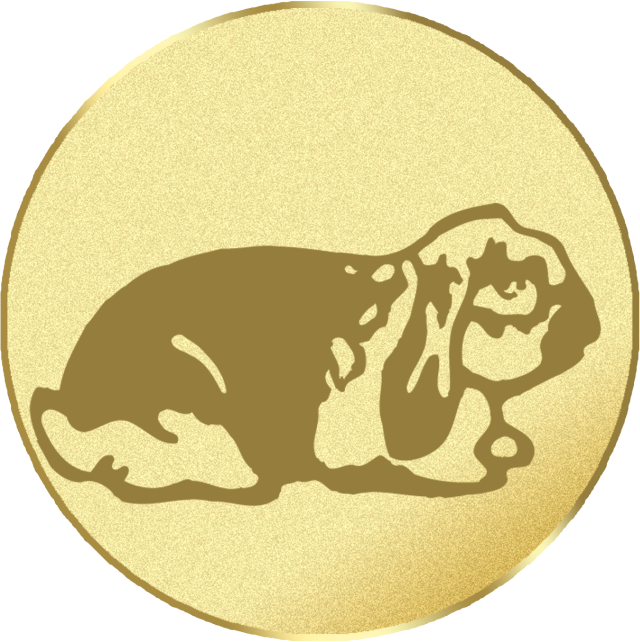 Emblem G30H in G/S/B 25mm und 50mm Lieferbar