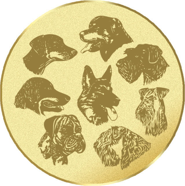 Emblem G17C in G/S/B 25mm und 50mm Lieferbar